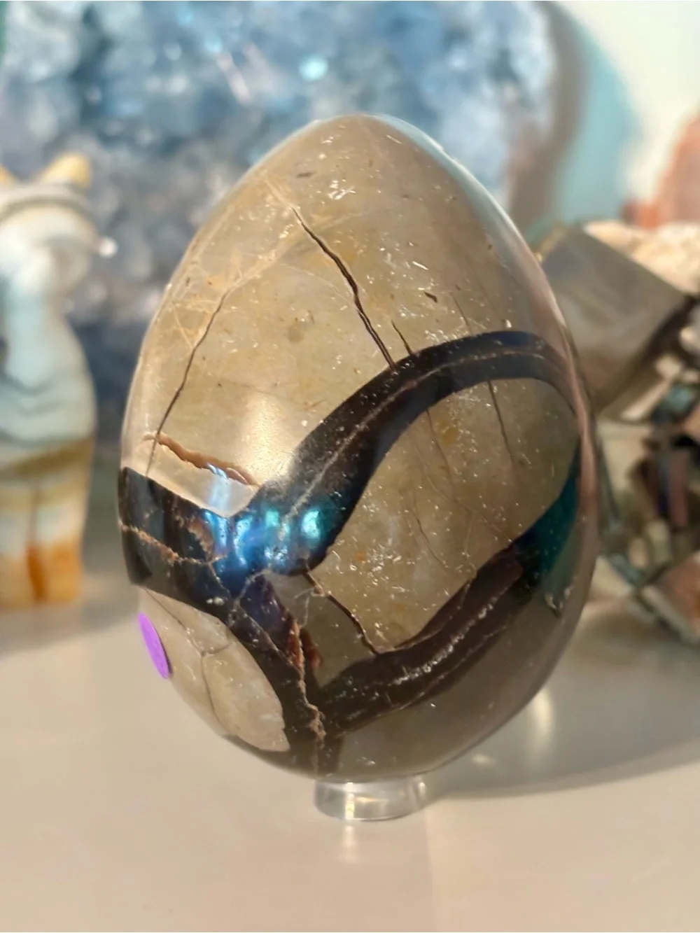 N/A striking polished